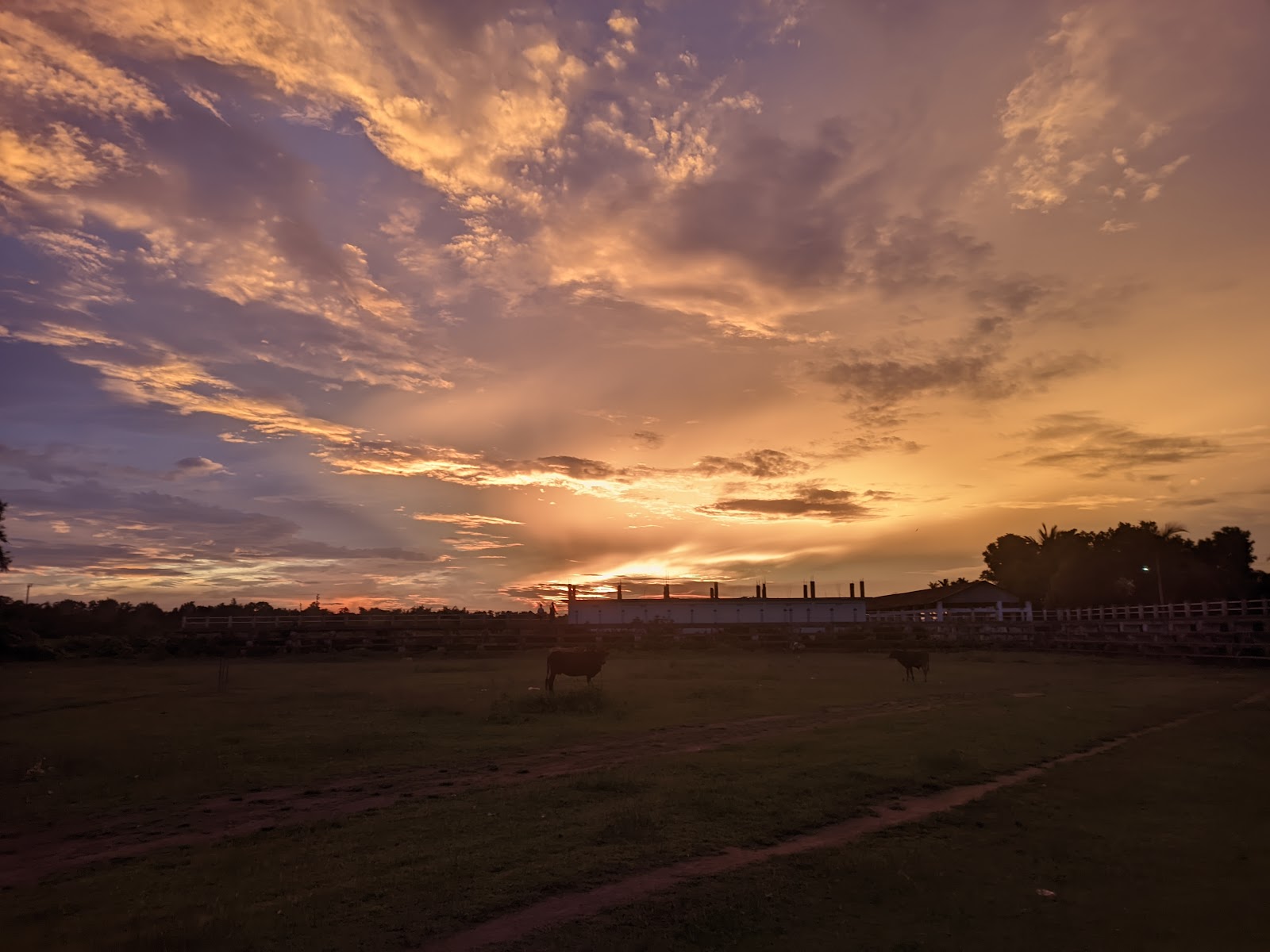 Sripalli Ground Google photo 3