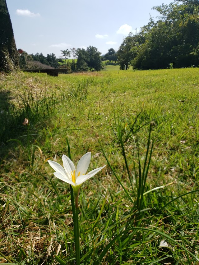 Takachiho Country Club - Photo 10