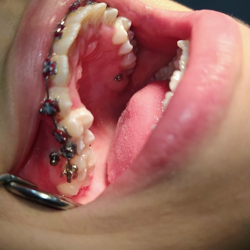 Dra. Danielle Rocha - Ortodontia e Odontopediatria - foto 2