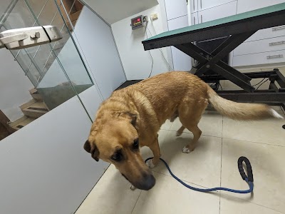 מרפאה לחיות מחמד