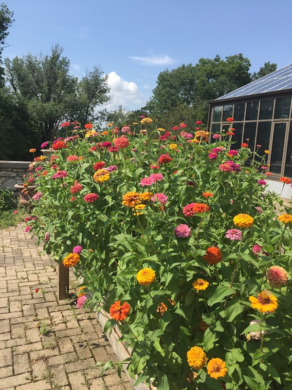 Photo by Katherine Holmes