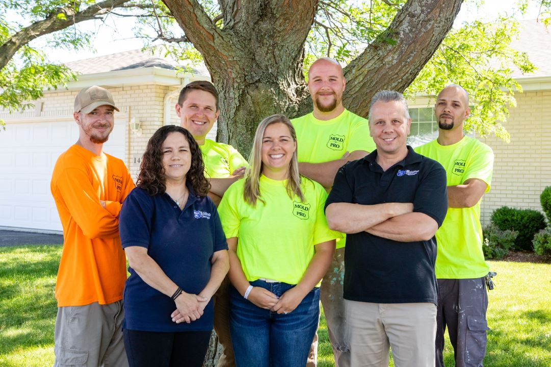 Mold Pro Chicago — photo