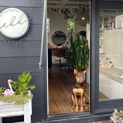 Ed Hope Hair photo 3