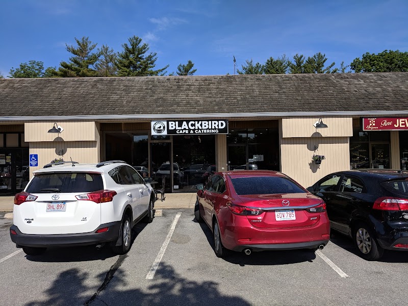 Blackbird Cafe photo 1