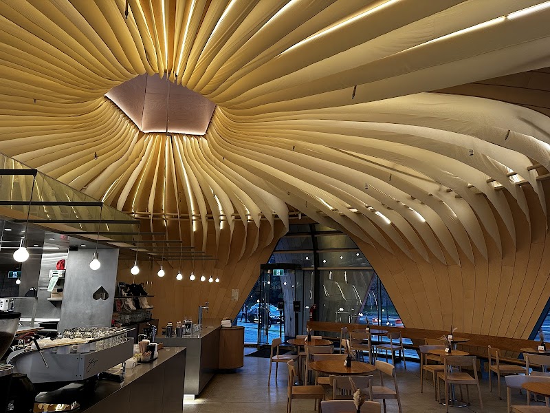 Nemesis Coffee GNW photo 4