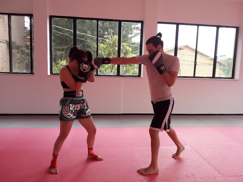 Athletic Body Club S.S.D.
