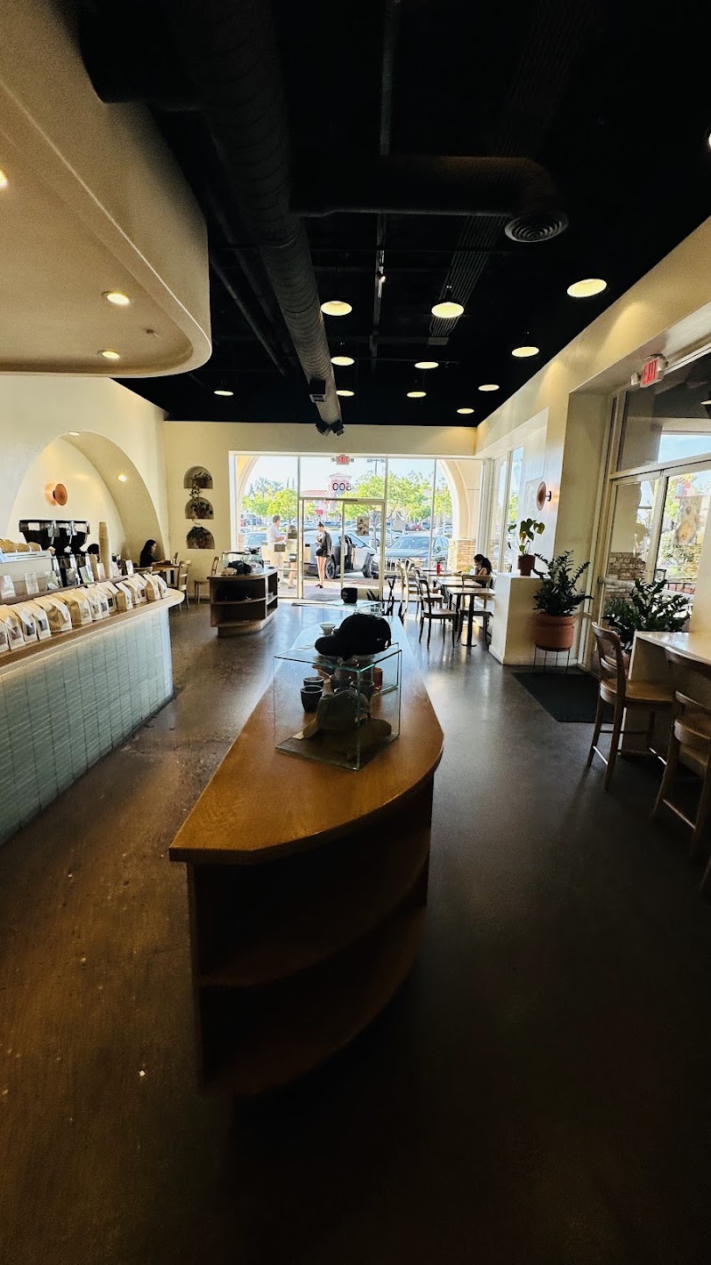Temple Coffee photo 4