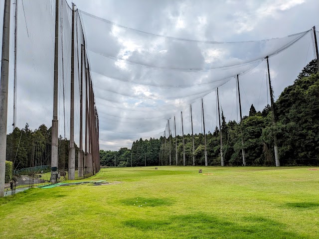 Ami Golf Club - Photo 2