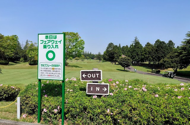Ami Golf Club - Photo 6