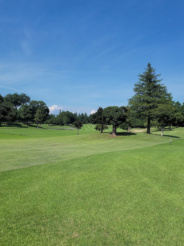 Ami Golf Club - Photo 1