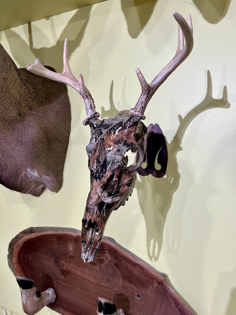 Antlers and More Graphics LLC photo
