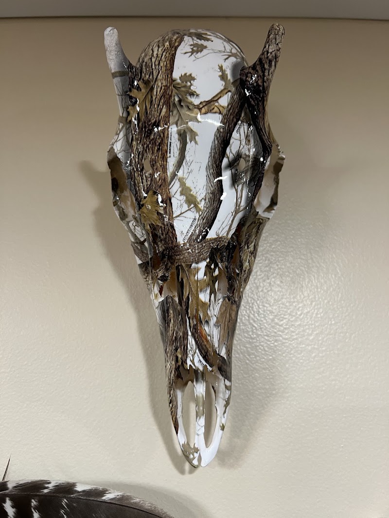 Antlers and More Graphics LLC photo