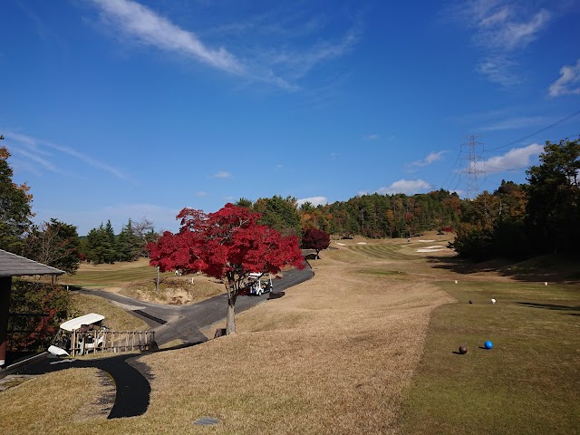 Maple Hills Golf Club - Photo 8