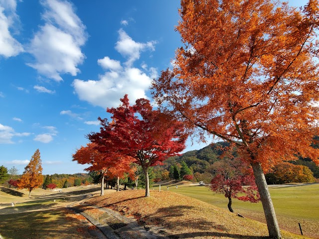 Maple Hills Golf Club - Photo 7