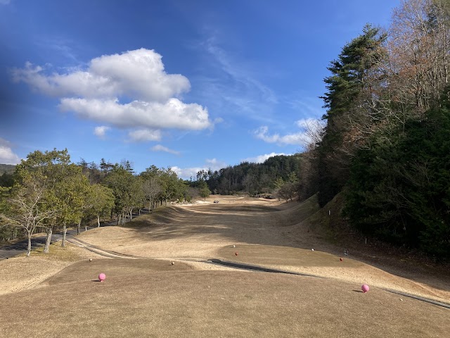 Maple Hills Golf Club - Photo 4