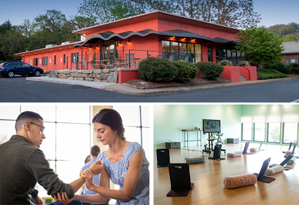 The Ayurvedic Institute