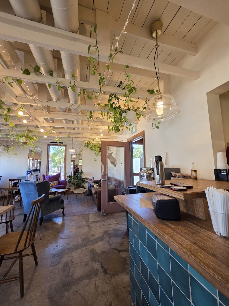 Tule Coffeehouse photo 1