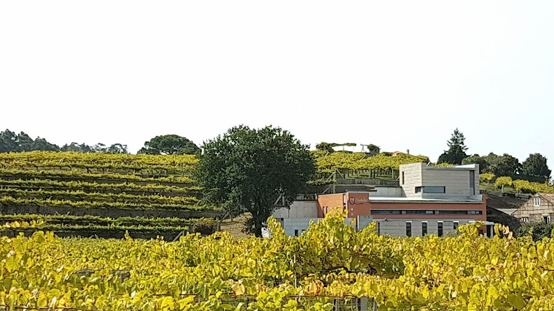 Bodega Carballal Vázquez Abal, S.L. photo 2