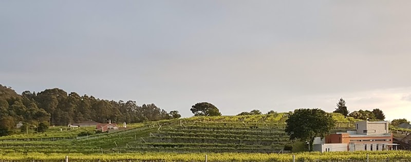 Bodega Carballal Vázquez Abal, S.L. photo 5