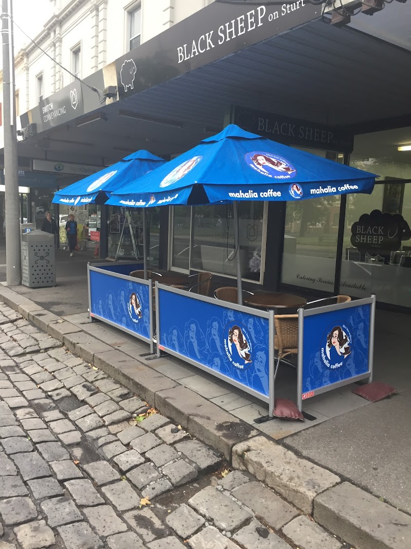 Black Sheep on Sturt