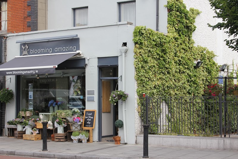 Blooming Amazing Flower Company Flower Delivery in Dublin