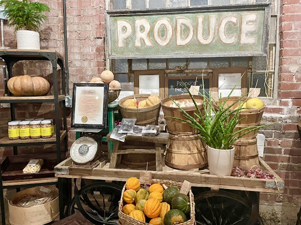 Photo by Monalisa Tailor