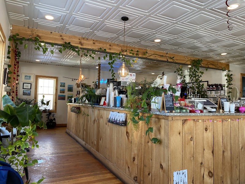 The Blue Foot Cafe photo 2