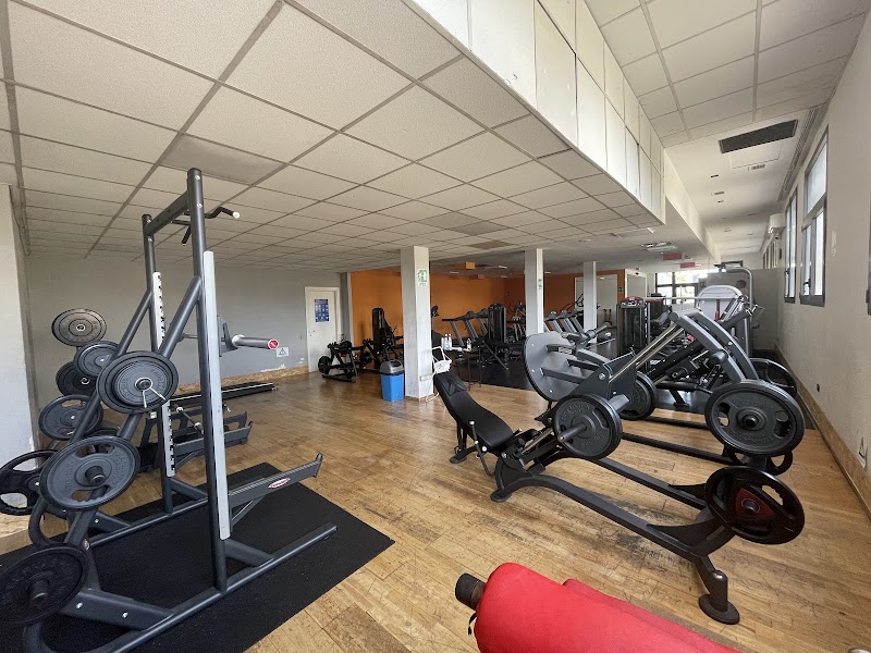New Fitness