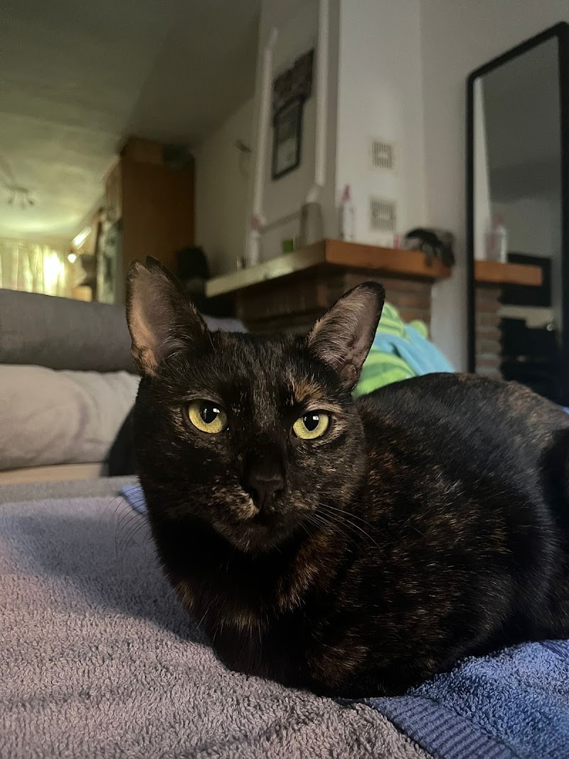 Clínica Veterinaria Mascotas Mijas