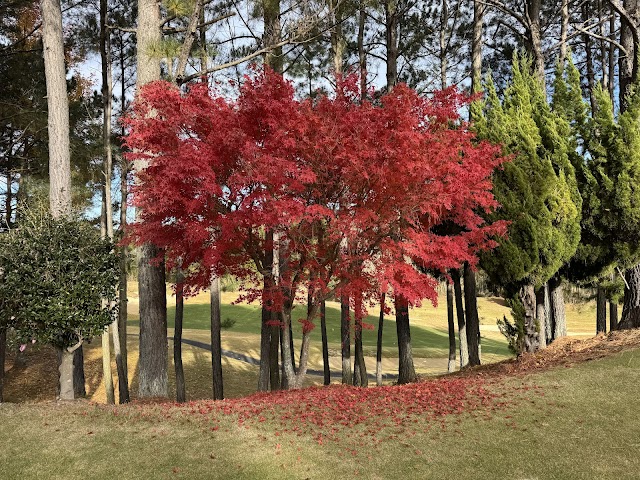 Akasaka Lakeside Country Club - Photo 9