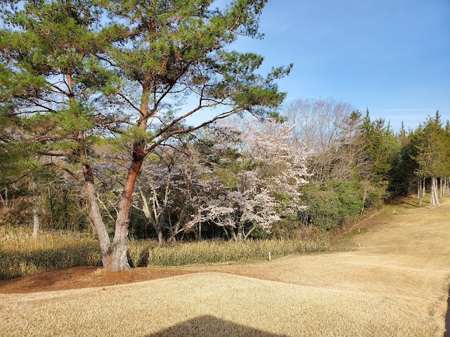 Akasaka Lakeside Country Club - Photo 6