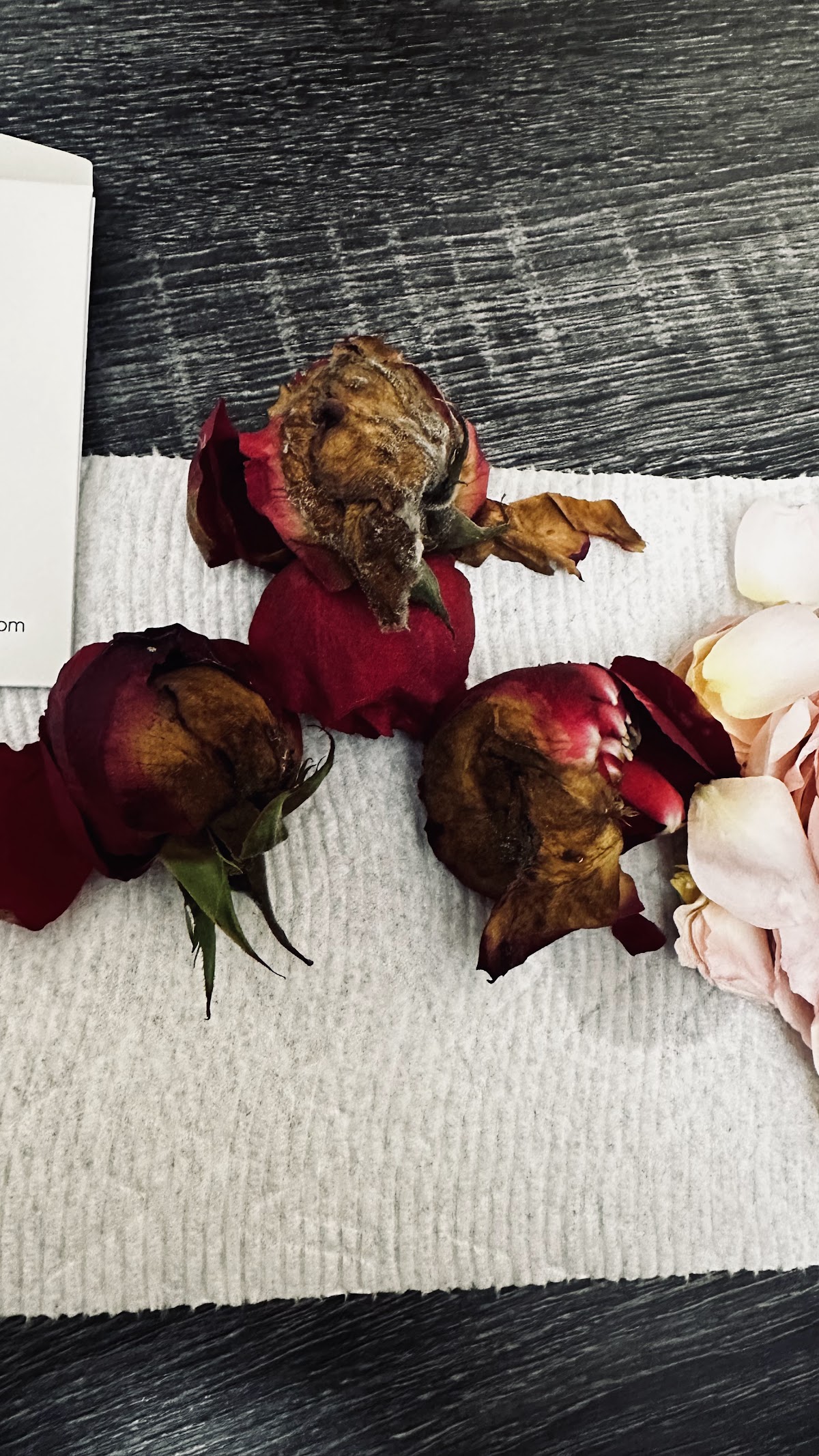 RF Flowers: Google Places image 4