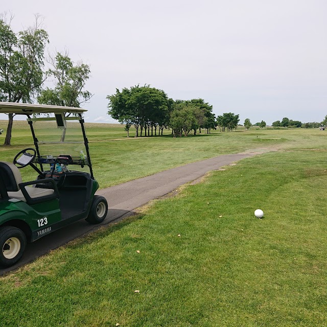 New Shinotsu Golf Course - Photo 10