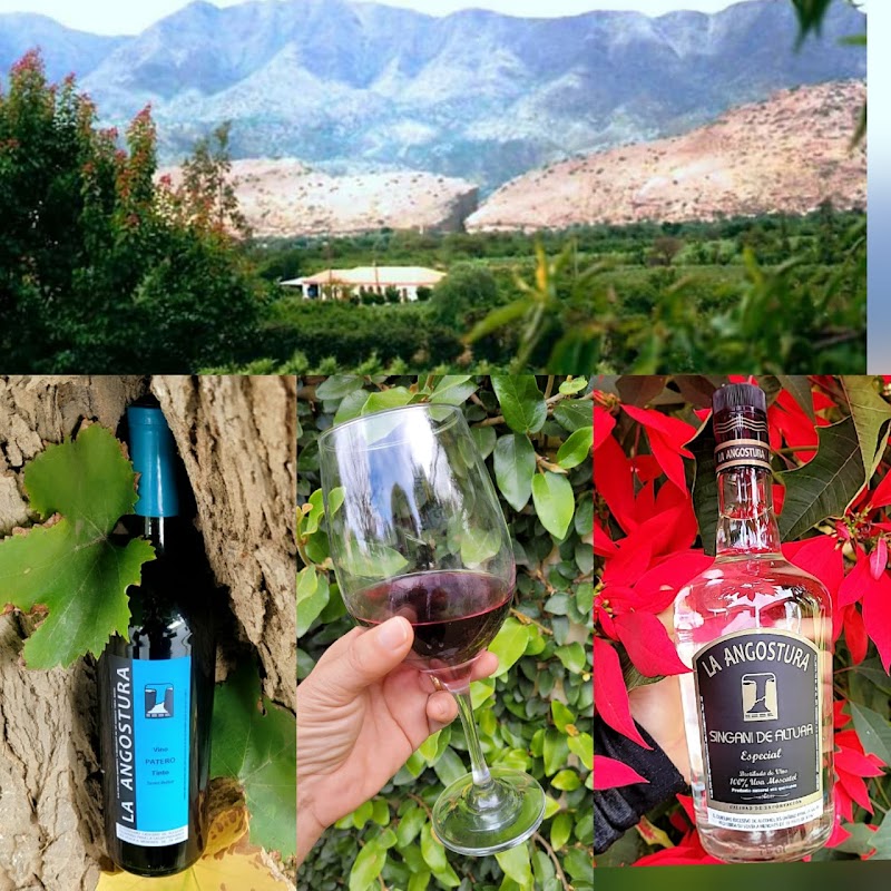 BODEGA LA ANGOSTURA