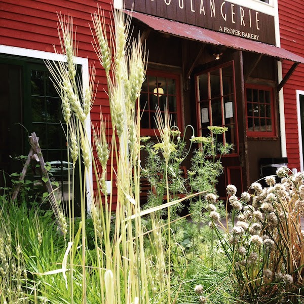 Boulangerie – A Proper Bakery