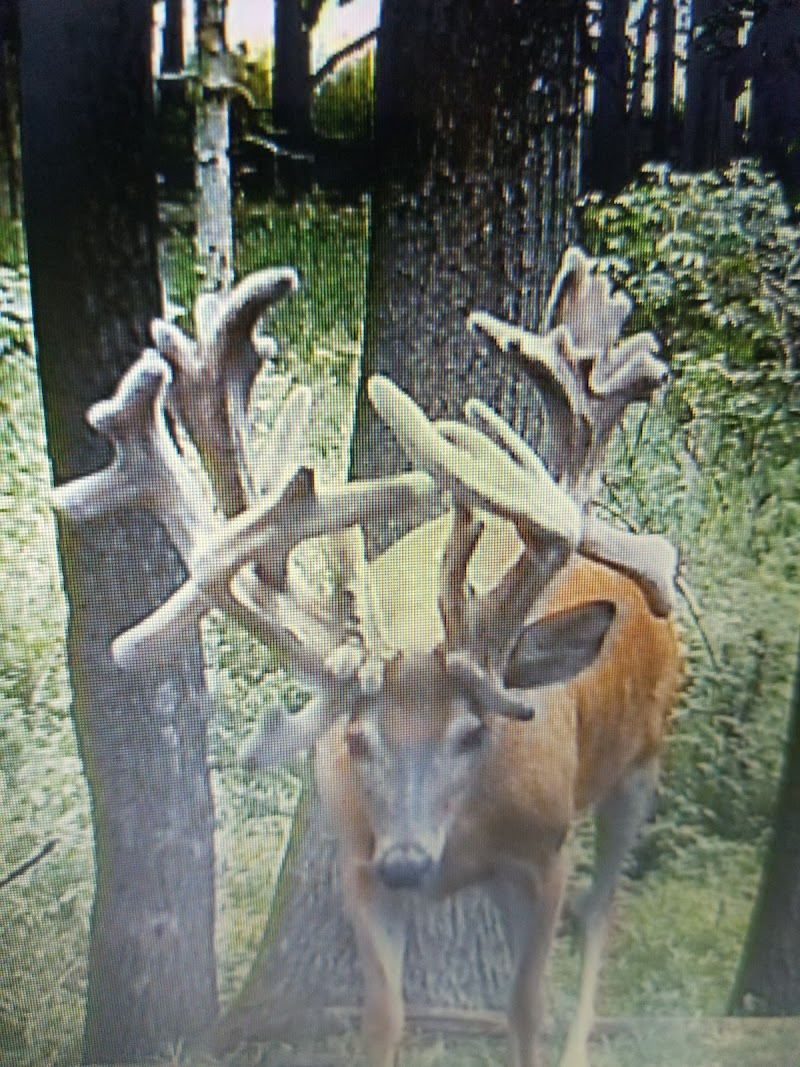 High Rack Ranch - Photo 2