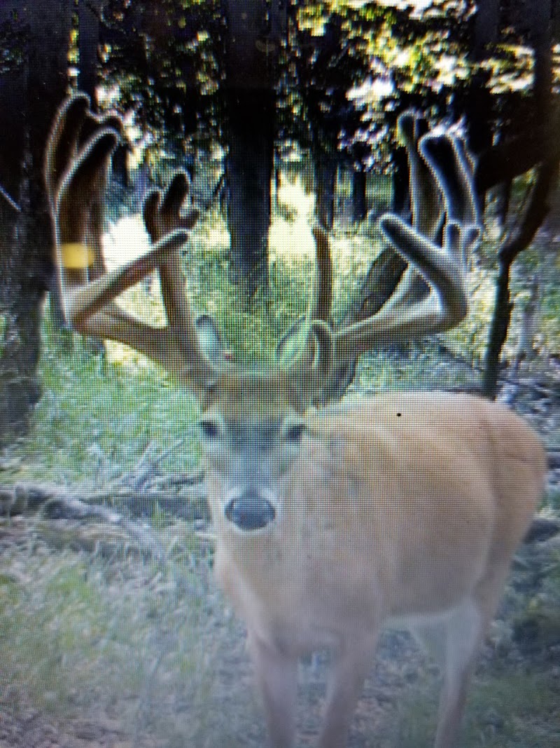 High Rack Ranch - Photo 1