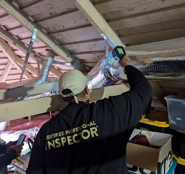 Fast Mold Testing - Sacramento — photo