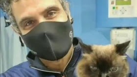 Clínica Veterinaria Yarza