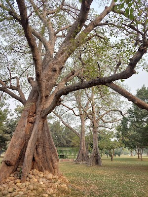 Model Town Park