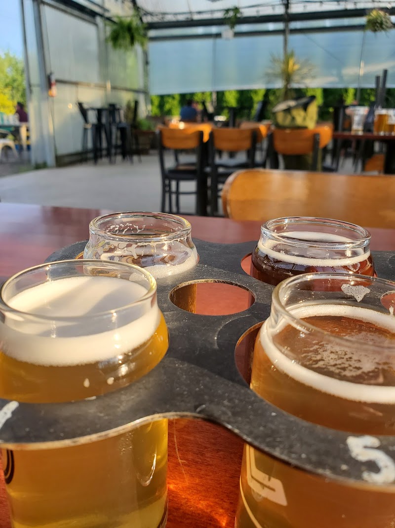 Level Beer photo 6