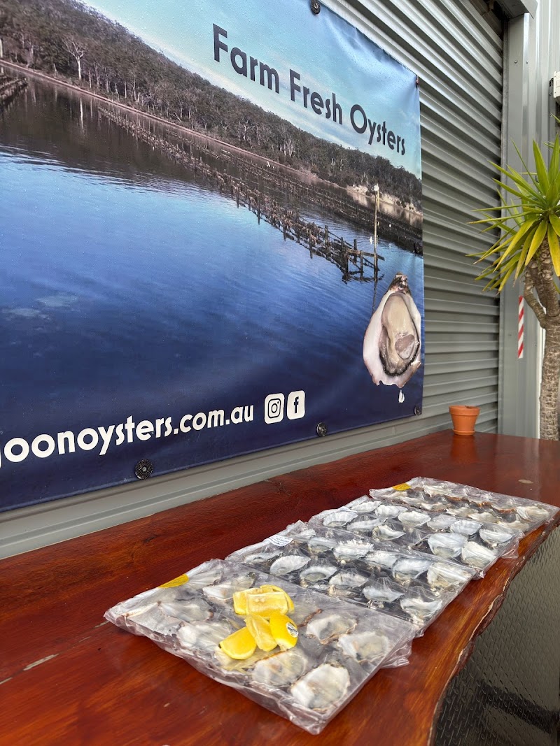 Blue Lagoon Oysters photo 5