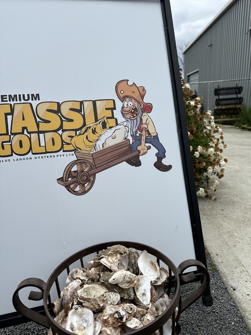 Blue Lagoon Oysters photo 3