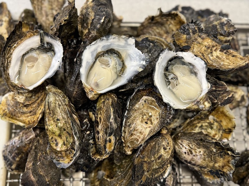 Blue Lagoon Oysters photo 10