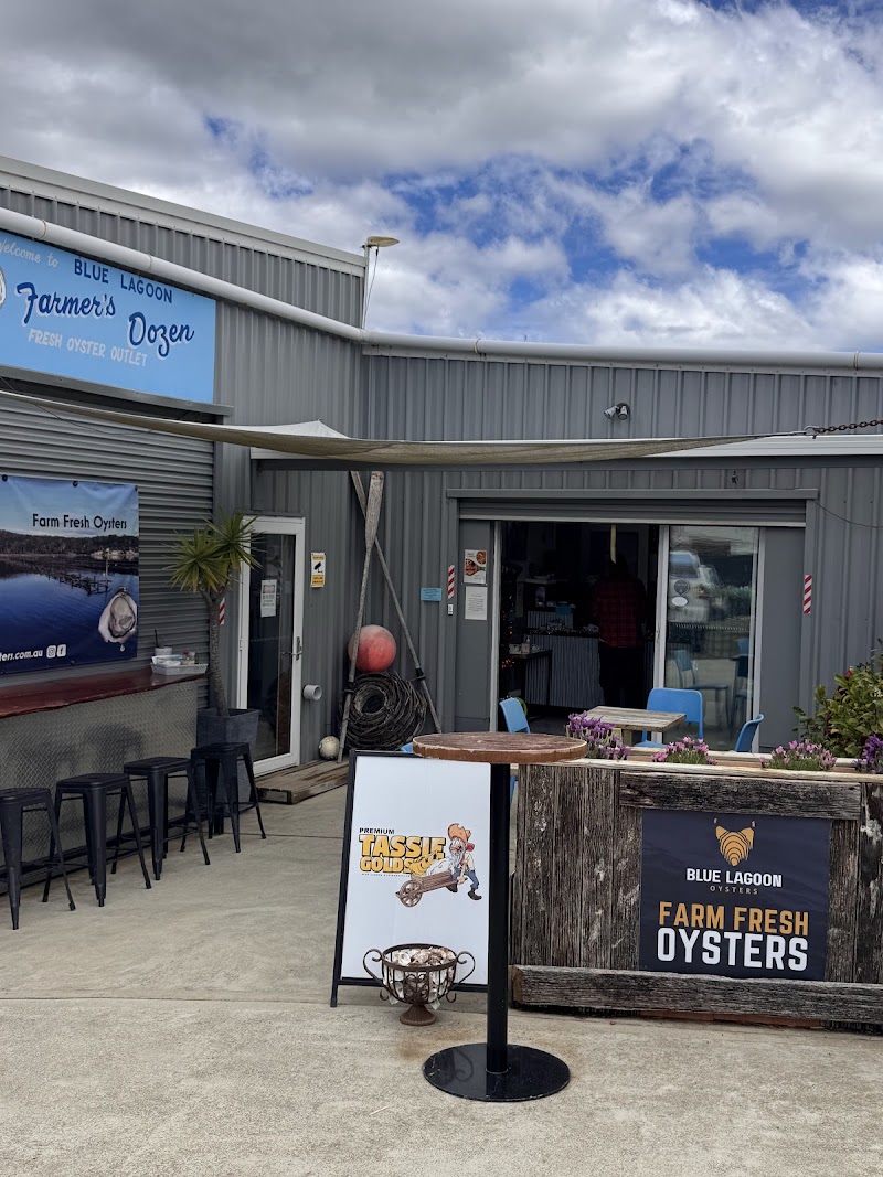 Blue Lagoon Oysters photo 1