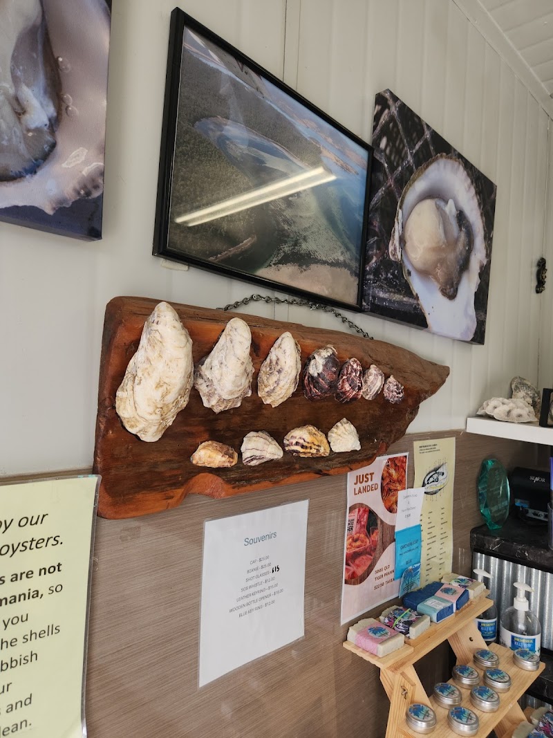 Blue Lagoon Oysters photo 9