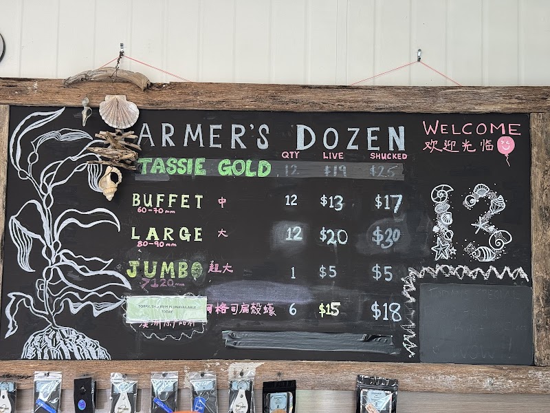 Blue Lagoon Oysters photo 4