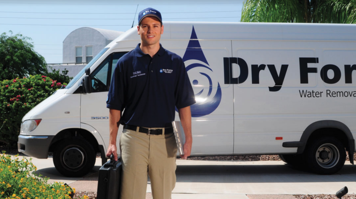 Dry Force Water Removal Specialists — photo