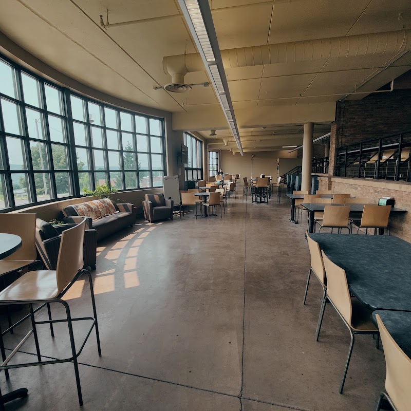 Shiba Café Ramen House photo 3