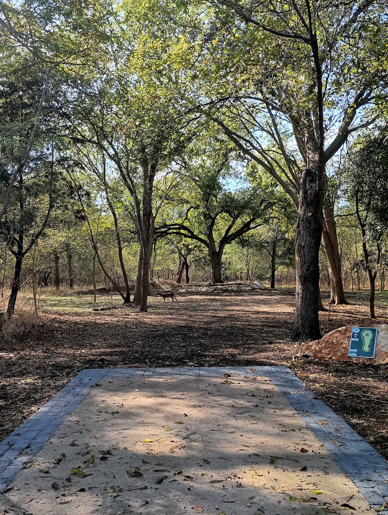 Little G Disc Golf Course photo 1